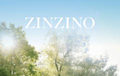 牵手“有赞”!圣希诺