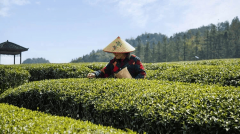 ����ָ������ ֱ����